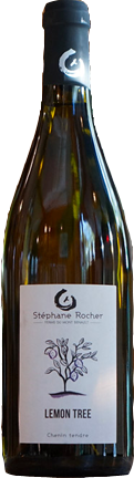 Riesling Tradition
